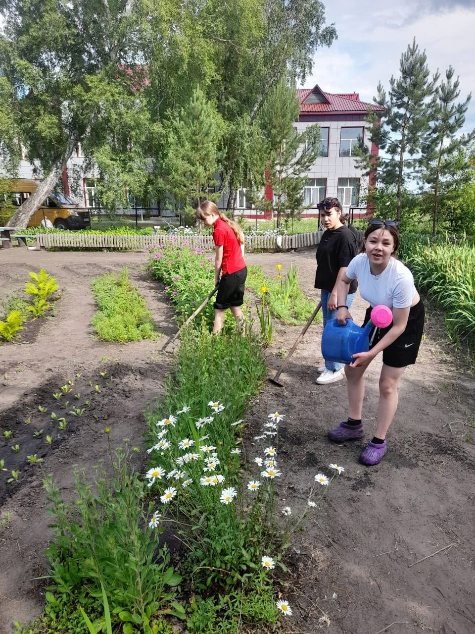 На пришкольном участке..